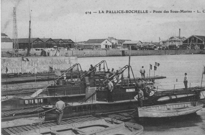 le castor et la loutre au bassin de la pallice.