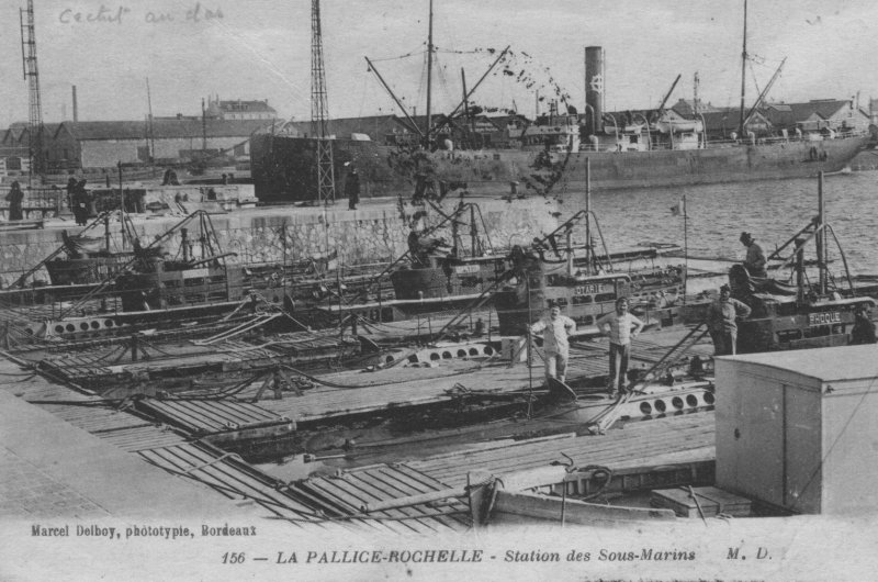 le sous-marin phoque, otarie, castor et loutre dans le bassin de la pallice.